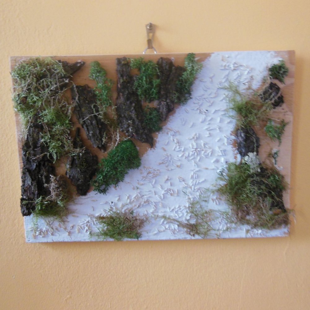 Moss & Bark Original Artwork